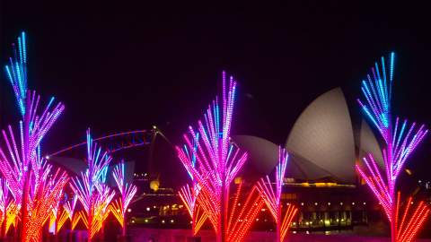 Sixteen Glowing Installations Have Popped Up in the Royal Botanic Garden for Vivid Sydney 2018