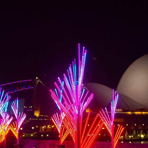 Sixteen Glowing Installations Have Popped Up in the Royal Botanic Garden for Vivid Sydney 2018