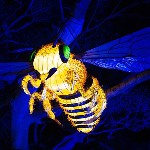 Sydney's Taronga Zoo Has Been Spectacularly Illuminated for This Year's Vivid Festival