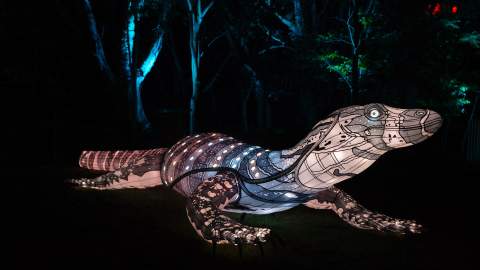 Sydney's Taronga Zoo Has Been Spectacularly Illuminated for This Year's Vivid Festival