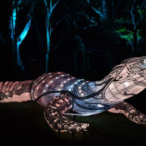 Sydney's Taronga Zoo Has Been Spectacularly Illuminated for This Year's Vivid Festival