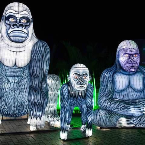 Sydney's Taronga Zoo Has Been Spectacularly Illuminated for This Year's Vivid Festival