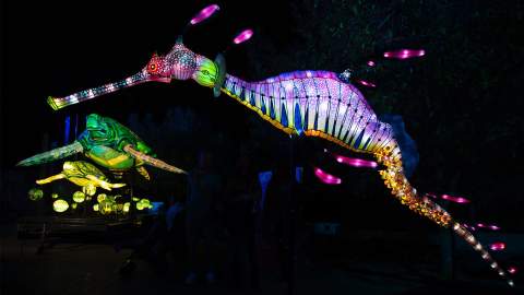 Sydney's Taronga Zoo Has Been Spectacularly Illuminated for This Year's Vivid Festival