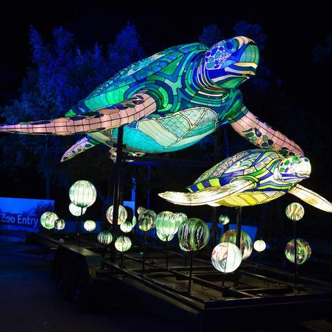 Sydney's Taronga Zoo Has Been Spectacularly Illuminated for This Year's Vivid Festival