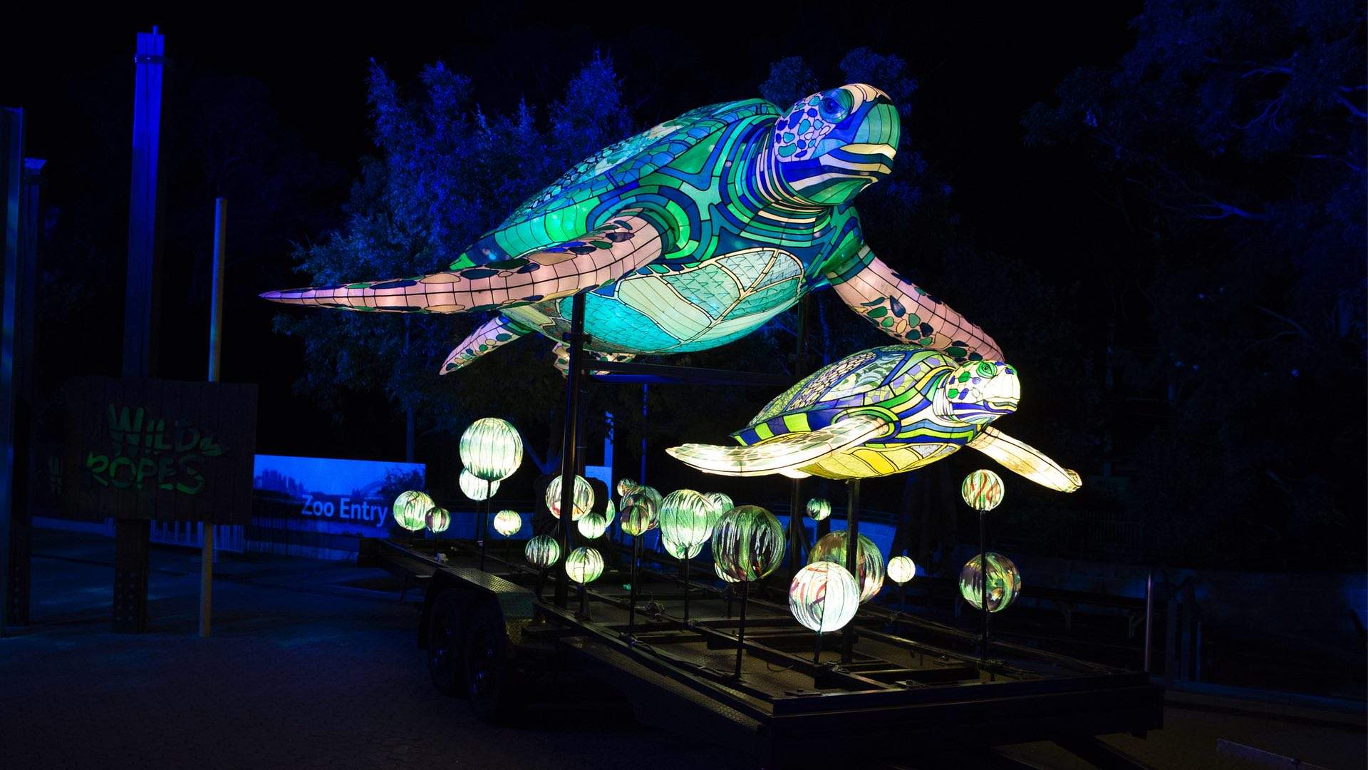 Sydney's Taronga Zoo Has Been Spectacularly Illuminated for This Year's Vivid Festival