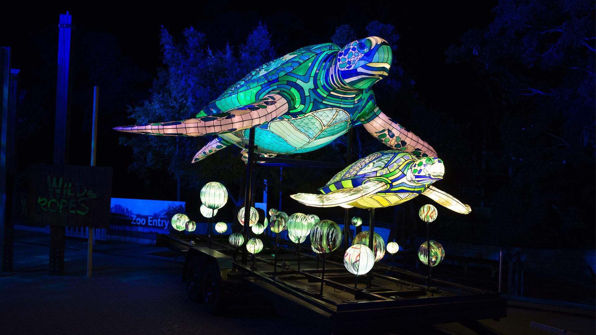 Sydney's Taronga Zoo Has Been Spectacularly Illuminated for This Year's