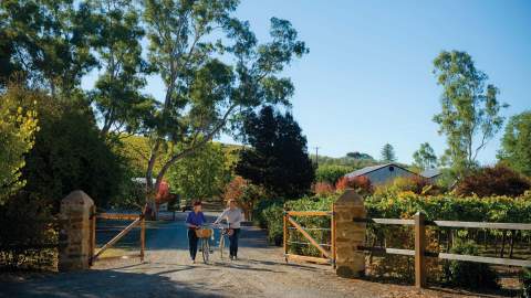 A Food and Wine Lover's Guide to the Clare Valley