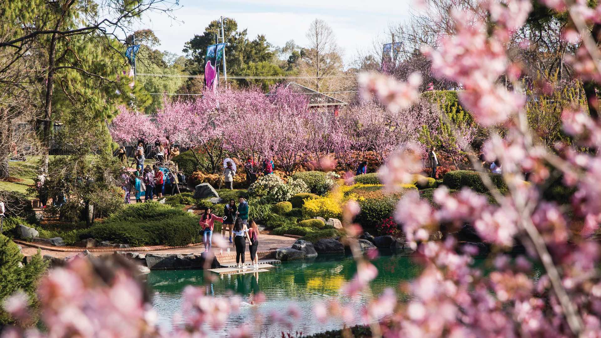 Auburn Botanic Gardens Map Fasci Garden