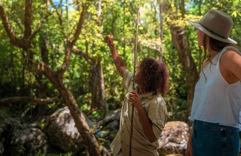 Ngadiku Dreamtime Walk