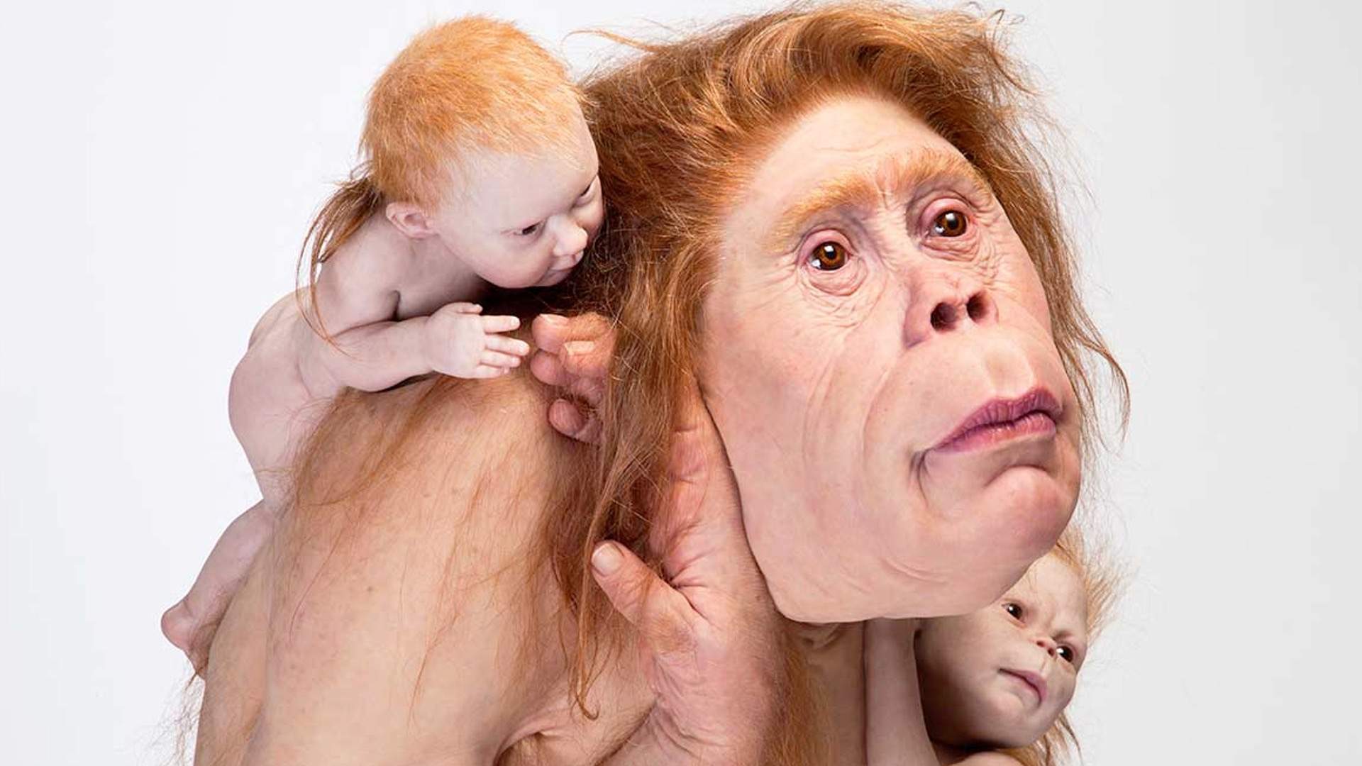 A Huge New Patricia Piccinini Exhibition Is Coming to Victoria's TarraWarra Museum of Art