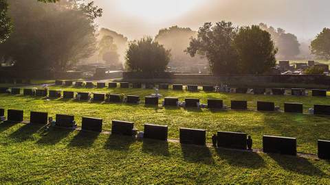 Hidden Rookwood Cemetery Sculpture Walk 2018