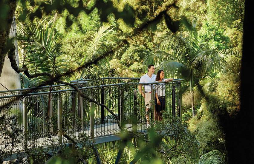Background image for Queensland Is Giving Out 36,000 Vouchers for Greater Brisbane and Whitsundays Holidays
