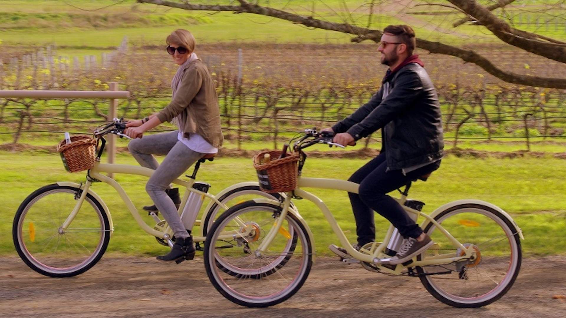 wine bike tour