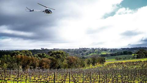 You Can Now Sleep In a Luxury Pod Right Next to the Vines at This South Australian Winery