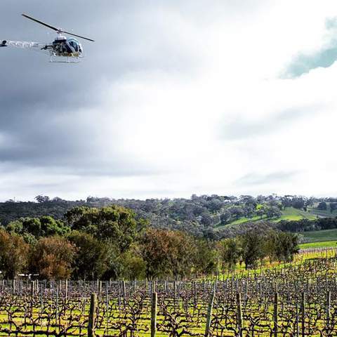 You Can Now Sleep In a Luxury Pod Right Next to the Vines at This South Australian Winery