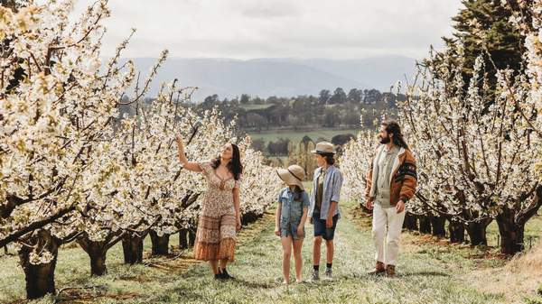 CherryHill Orchards Blossom Festival 2024