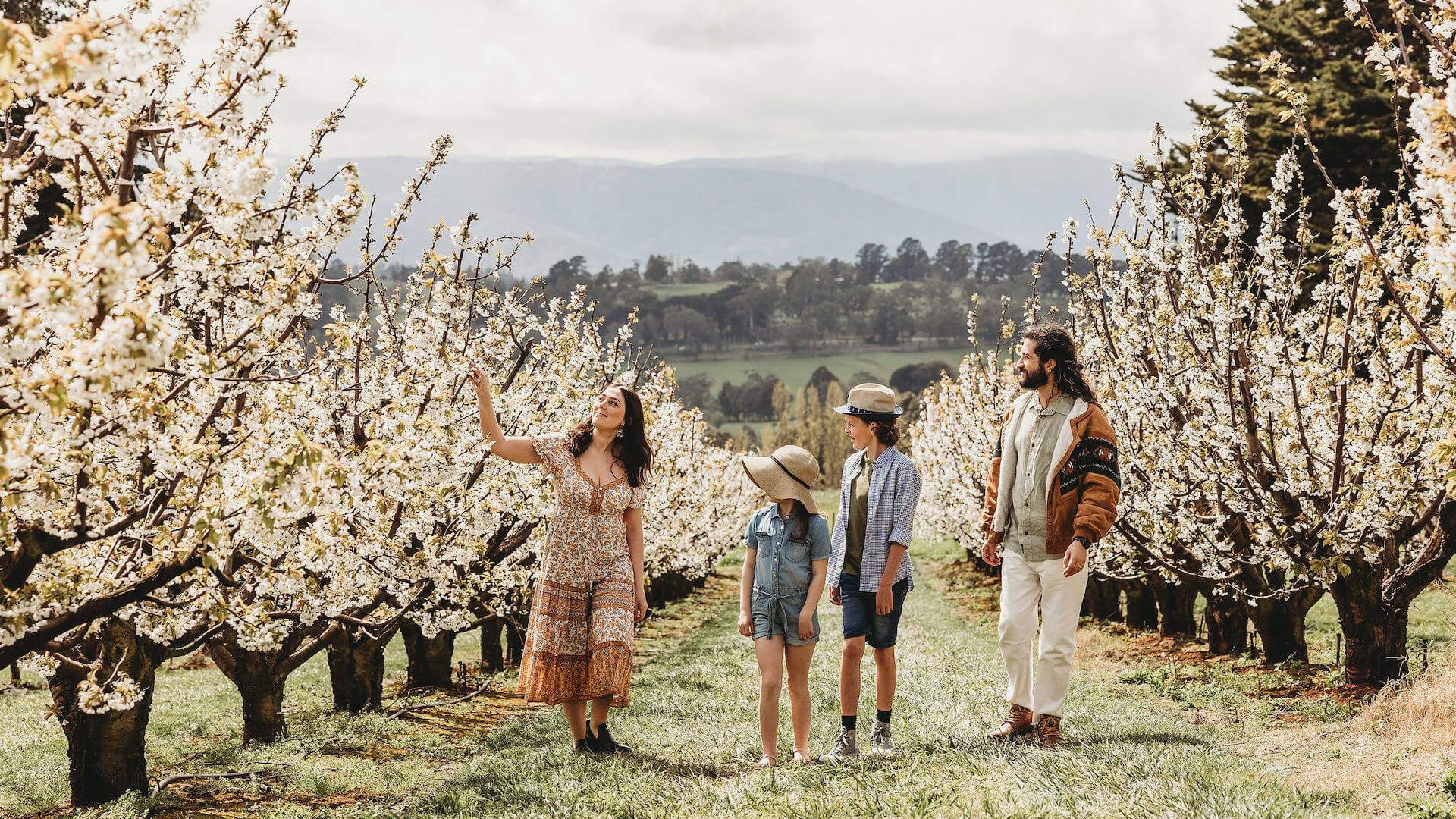 CherryHill Orchards Blossom Festival 2024