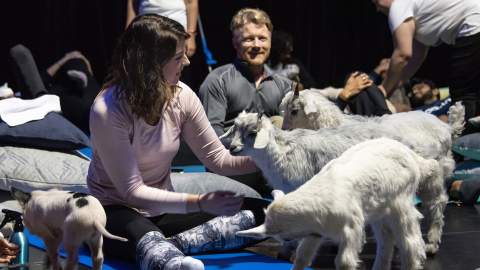 Meditating with Baby Farm Animals Is Australia's Newest Wellness Trend