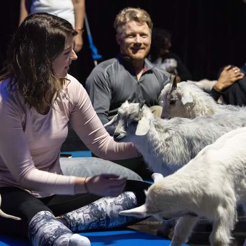 Meditating with Baby Farm Animals Is Australia's Newest Wellness Trend