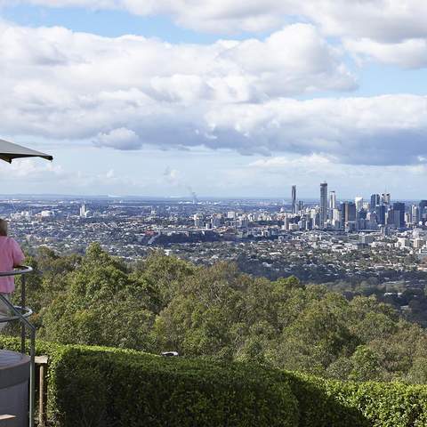 You'll Soon Be Able to Zoom Down Brisbane's Mt Coot-tha Via Zipline