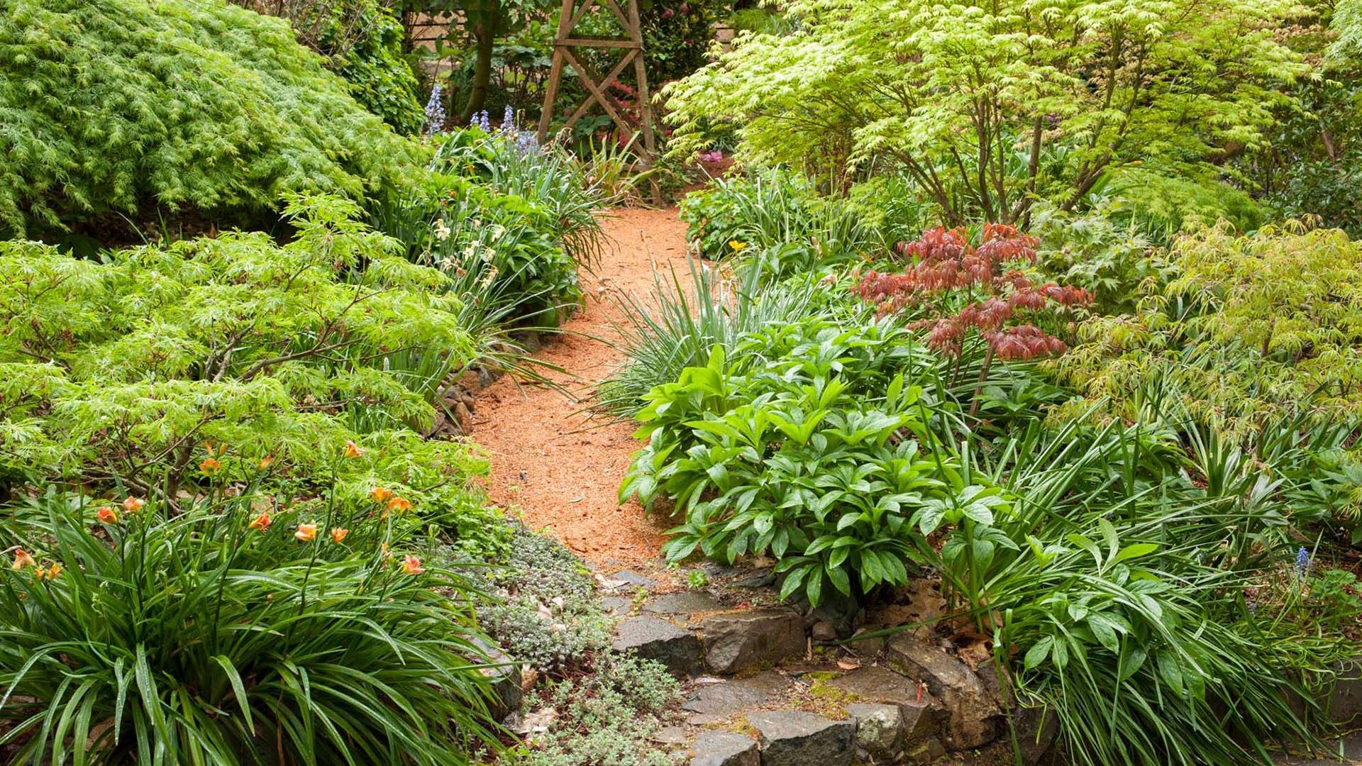 Secret Gardens Of The Dandenong Ranges Spring Tours, Melbourne