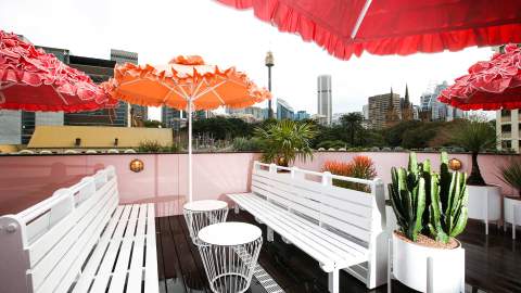 A Cactus-Filled Rooftop Bar and Japanese Eatery Has Landed in Darlinghurst