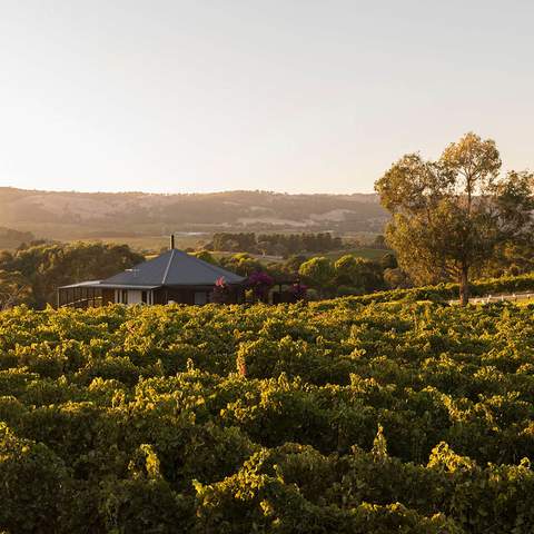 You Can Now Sleep In a Luxury Pod Right Next to the Vines at This South Australian Winery