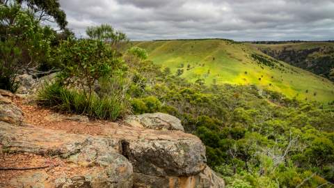 Best Hikes Near Melbourne walks