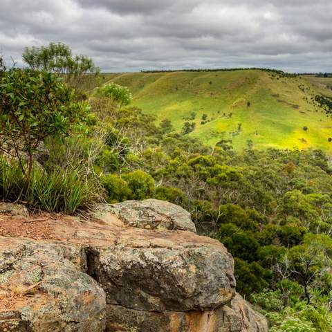 Best Hikes Near Melbourne walks