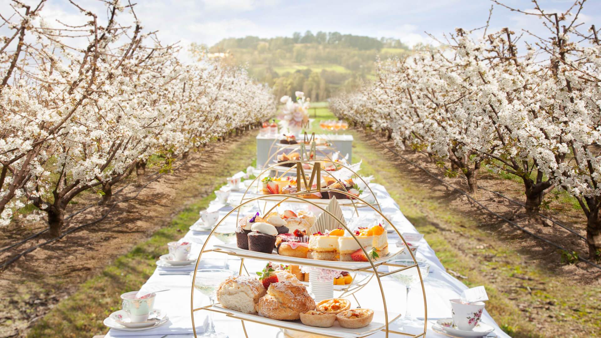 CherryHill Orchards Blossom Festival