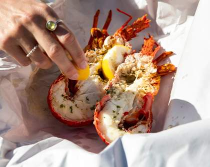 Every Seafood Dish You Should Eat When Travelling NZ's South Island