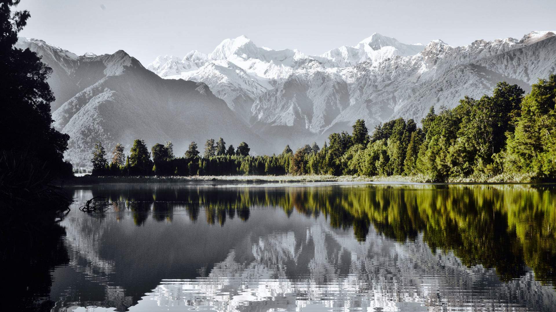 South Island: TranzAlpine Explorer