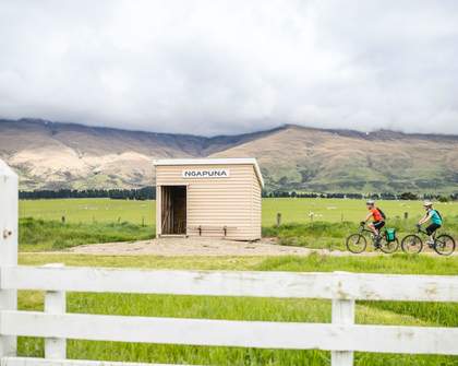 Five Scenic Cycling Trails to Hit on the South Island