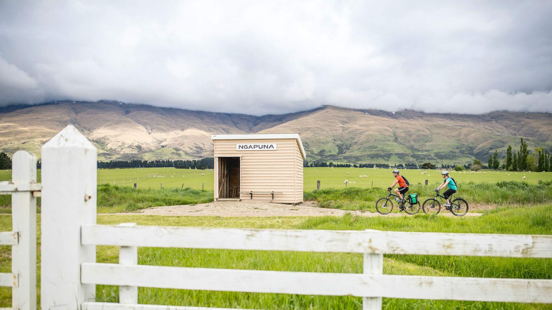 Five Scenic Cycling Trails to Hit on the South Island