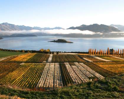 Five Wineries to Visit on New Zealand's South Island If You Are or Want to Be a Wine Expert
