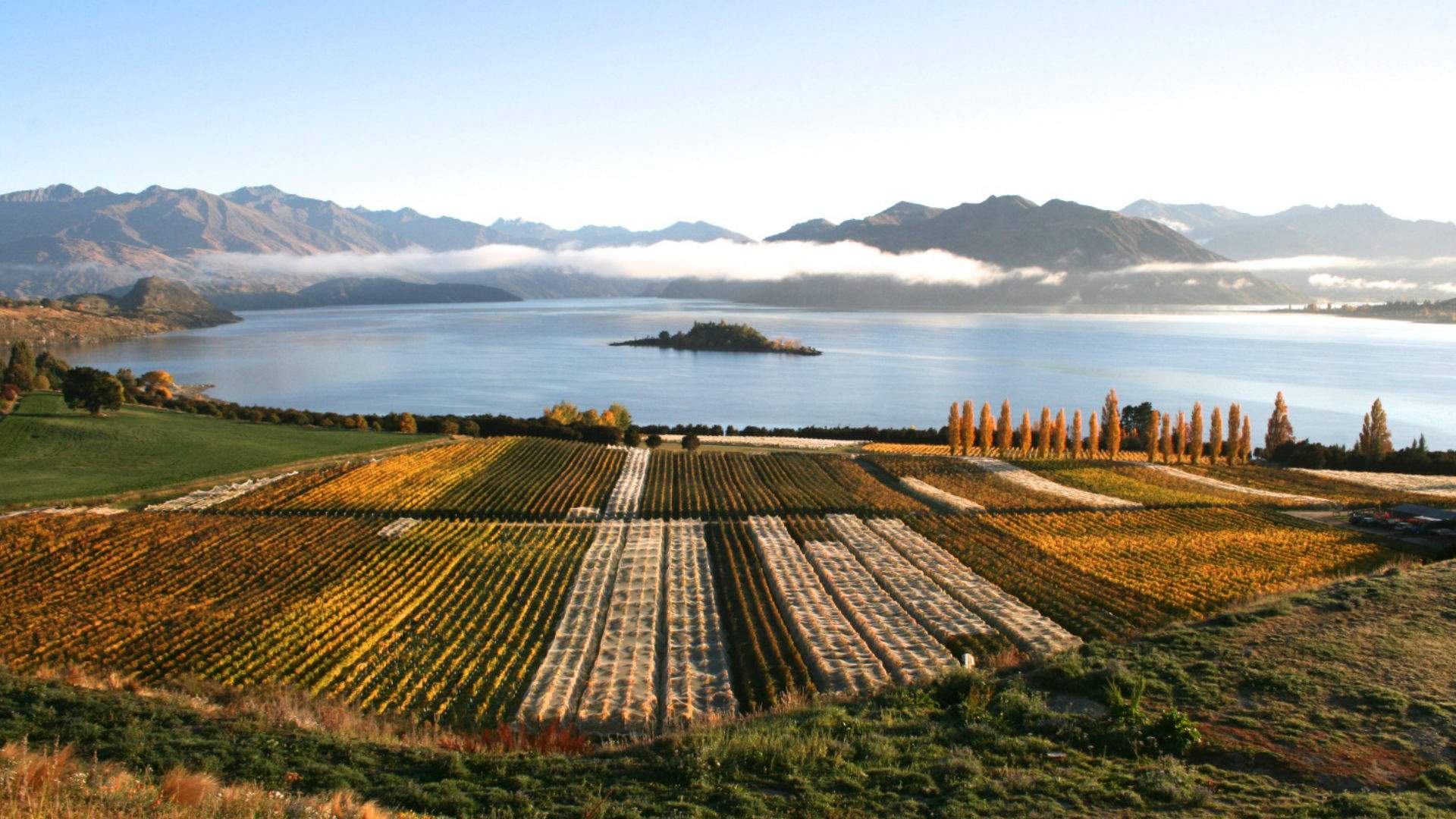 New Zealand's Rippon Winery Was Just Named the 11th Best Vineyard in the World for 2023