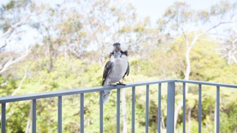 Bannisters Port Stephens