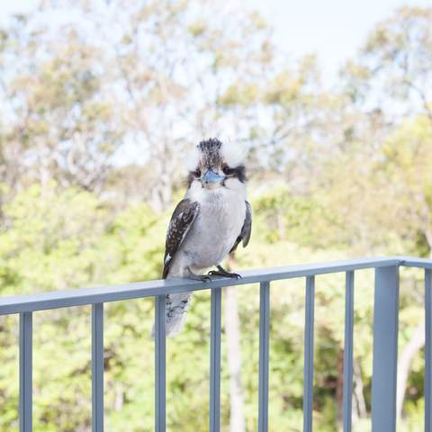 Bannisters Port Stephens