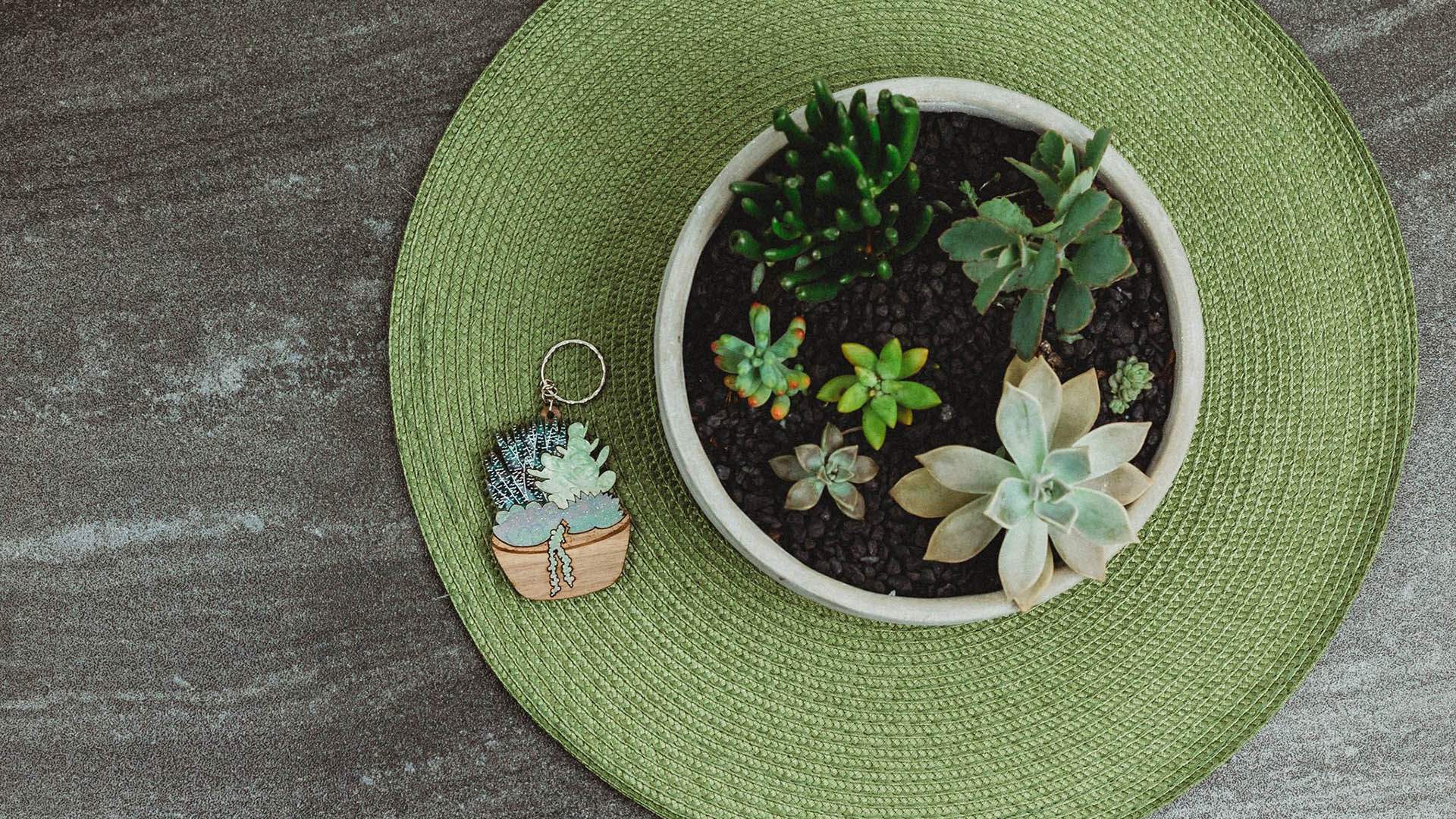 Botanic Box Is Brisbane's New Monthly Plant Subscription Service