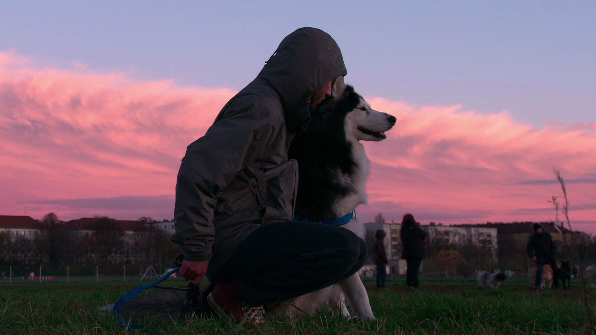 Netflix's Adorable 'Dogs' Docuseries Has Your Heartwarming Holiday Binge Session Sorted