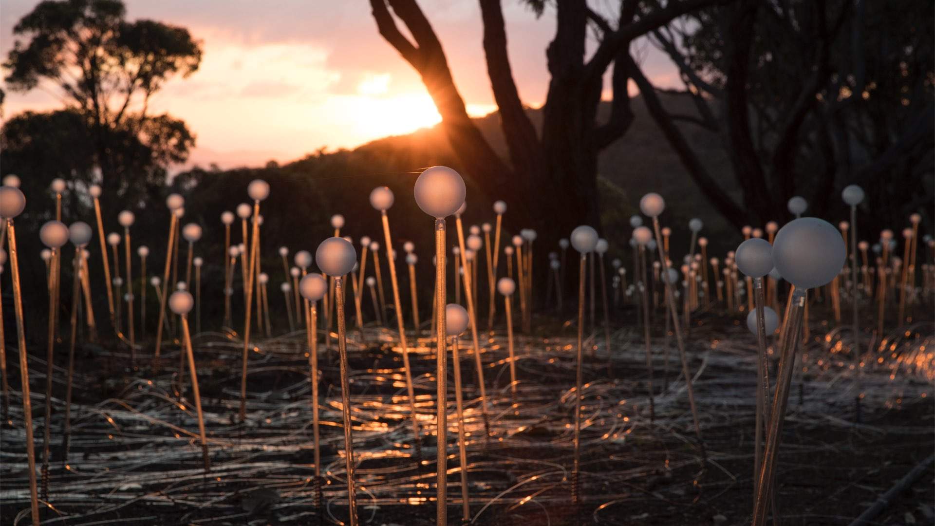 An Immersive New Installation from the Artist Behind Uluru's 'Field of Light' Has Arrived in Australia