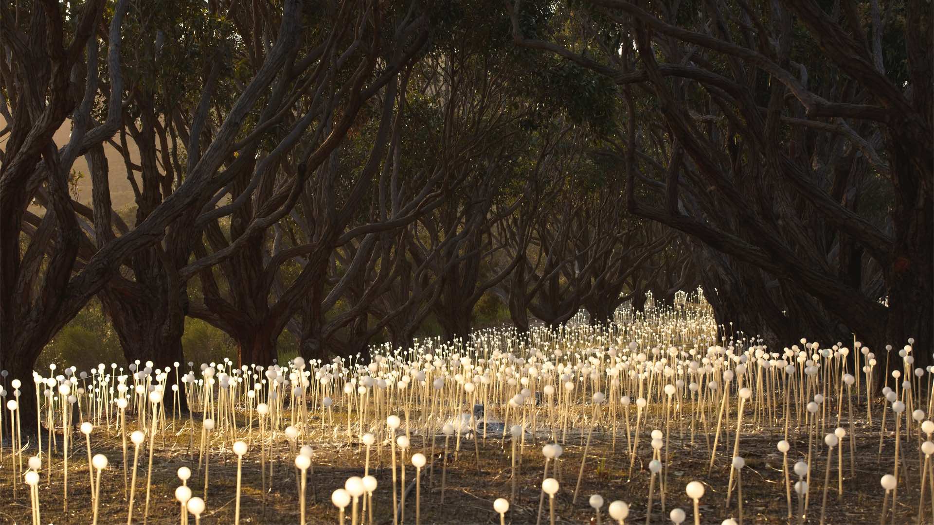 An Immersive New Installation from the Artist Behind Uluru's 'Field of Light' Has Arrived in Australia
