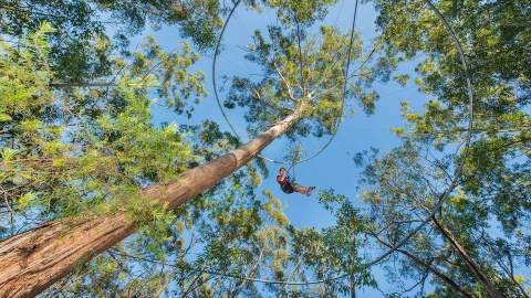 Western Sydney Will Soon Be Home to the World's Fastest Roller Coaster Zipline