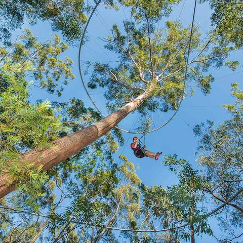 Western Sydney Will Soon Be Home to the World's Fastest Roller Coaster Zipline