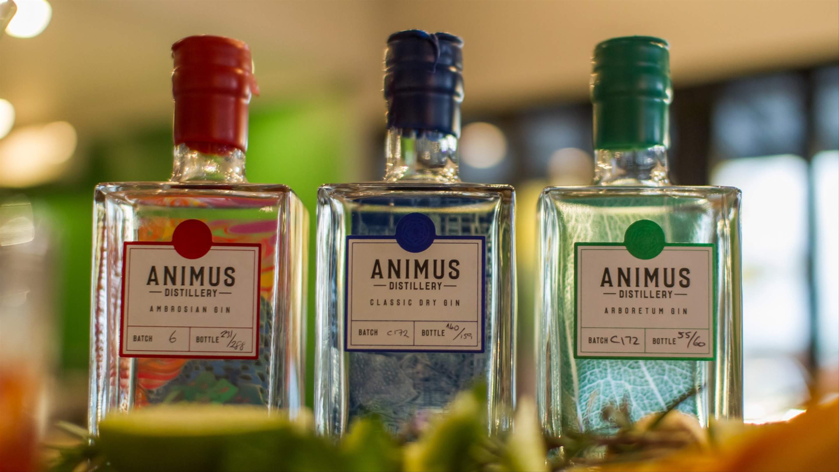 Animus Distillery, Review