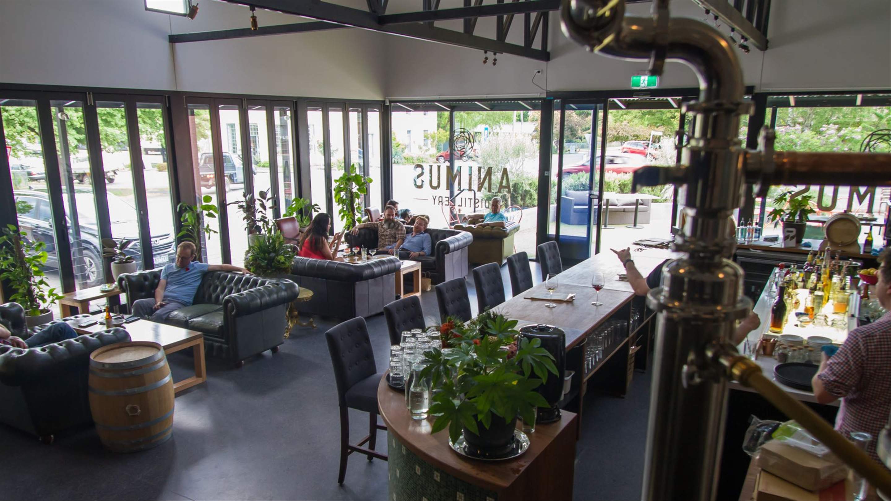 Animus Distillery, Review