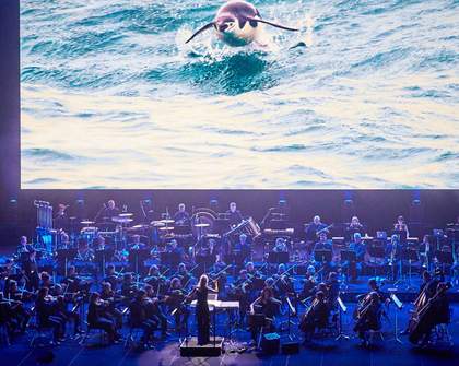 A Live Concert of David Attenborough's 'Blue Planet II' Is Coming to New Zealand