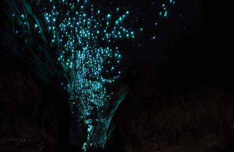 This New Dining and Music Experience Is Being Held in a Twinkling Glowworm Cave