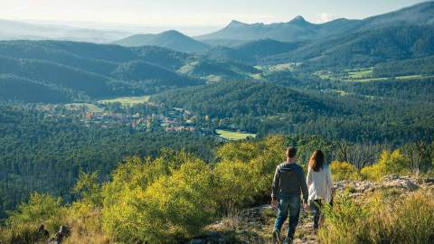 Best Hikes Near Melbourne walks