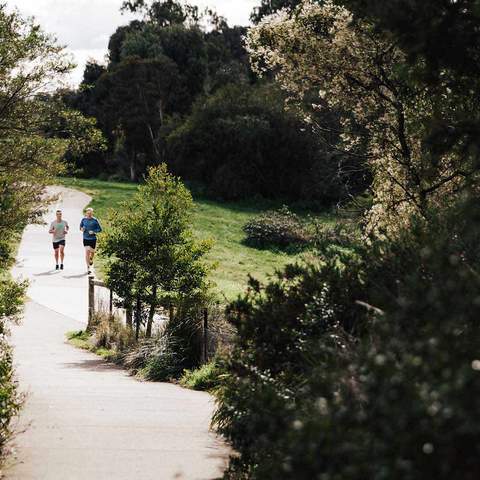 Best Hikes Near Melbourne walks